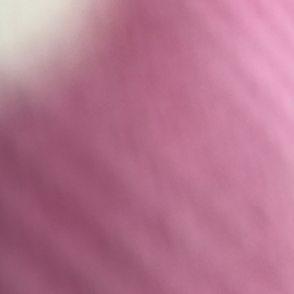 Meet your Posher, Frances